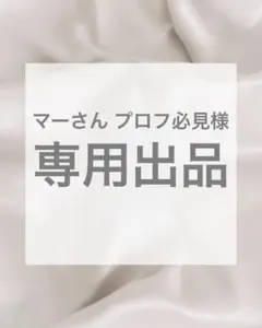 マーさん プロフ必見様 専用出品