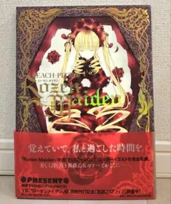 チ*キ様 HUNTER×HUNTER 未開封 幻影旅団編 初回生産限定特典 タロ