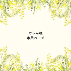 てぃん様　専用ページ