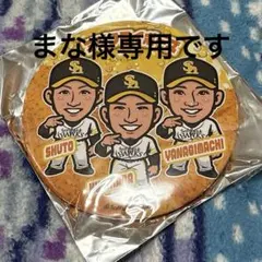 若鷹ガチャ　　　ビック缶バッジ