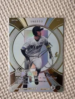 プロ野球 ファンスターズリーグ 近本光司SSR☆サイン - メルカリ