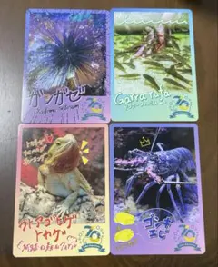 鳥羽水族館 コレクションカード Vol.2 ノーマルカード 39枚 - メルカリ