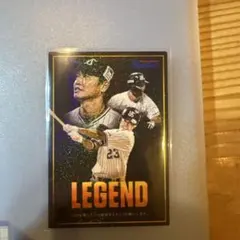 Item thumbnail for item cfaf9930-4234-4bdc-8c8a-83a25612ae92