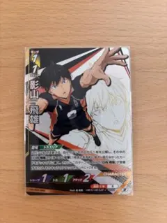 2025年最新】ハイキュー バボカ 影山の人気アイテム - メルカリ