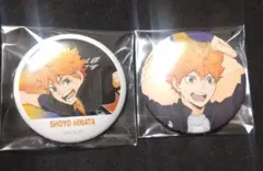 日向翔陽 ハイキュー!! 横断幕 缶バッジ コレクション フルカラー