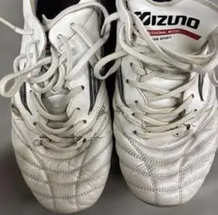 モレリアNEO4 26.0