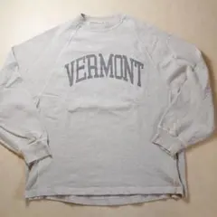 REMI RELIEF(レミレリーフ) 8/天竺ラグランロンT SP加工