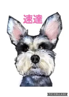 モモッペ様 リクエスト 4点 まとめ商品