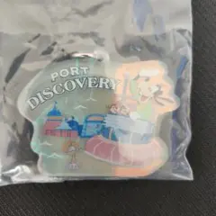 東京ディズニーリゾート ランダム アクリルキーホルダー