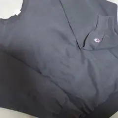 希少 目無し チャンピオン リバースウィーブ 90s スウェット XXL 紺色