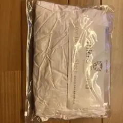 Item thumbnail for item 4679a7b0-23b7-4d5b-98c1-3e00ffa24d60