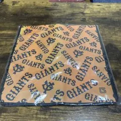 Item thumbnail for item afbf3ab1-8c99-49d4-b9da-8138ea5b5871