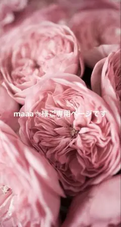 maaa☆様ご専用ページです