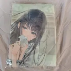 S*u様 ジークレ版画メモリーズInnocentGreyFlowers杉菜水姫ス Amazon.co.jp: 杉菜水姫 Innocent Grey イ展 濡鳥 複製原画