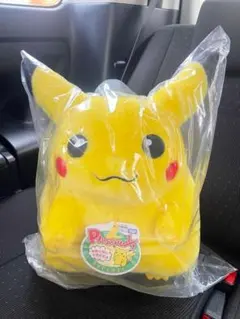 ポケットモンスター ポケモン30周年記念 おかえり！ピカチュウ1/1