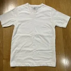 Item thumbnail for item 00807a93-c955-419e-8869-d89857568c68