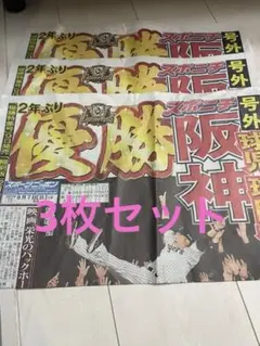 2025阪神優勝　号外　スポニチ　3枚セット