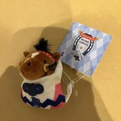 サラブレッドコレクション　お守りマスコット2 トウカイテイオー①