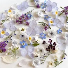 パステルカラーのドライフラワー詰め合わせ