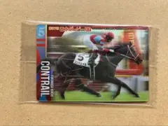 さまようよろい様 リクエスト 2点 まとめ商品