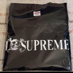 25aw Supreme Skull Tee 