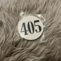 HUNTER × HUNTER ナンバープレート ゴン 405