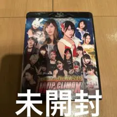 2025年最新】豆腐プロレスの人気アイテム - メルカリ