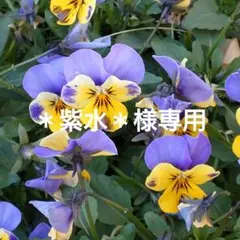 ＊紫水＊様専用名入れ刻印代になります