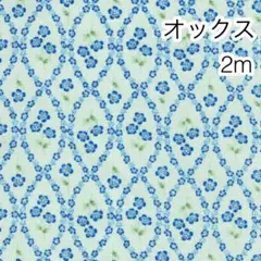 2m ネモフィラ2 グリーン オックス