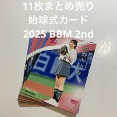 11枚まとめ売り　始球式カード