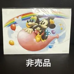 東京ディズニーリゾート ポストカード ミッキー ミニー