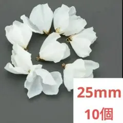 Item thumbnail for item 05774cc6-7957-42b4-8817-2144e797e3ee