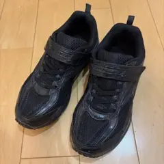 Item thumbnail for item 259bfe2c-a473-4823-bdc7-f4ad85f8eaa5