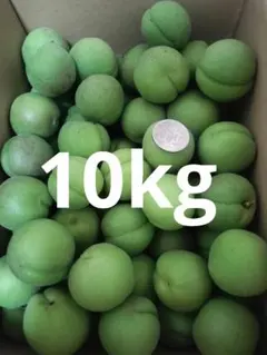 朝採れたて 農薬：栽培期間中不使用 梅干し用10kg - メルカリ
