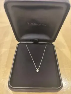 2025年最新】ティファニー ソリティア ピアスの人気アイテム