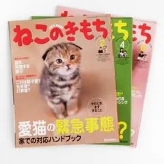 Item thumbnail for item 34dd6bb9-b613-4722-9a1d-d6e873590128