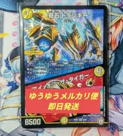 2026年最新】奇石 トランキー／アイ・オブ・ザ・タイガーの人気