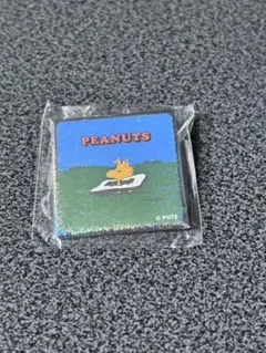 スヌーピー　ピーナッツカフェ　大阪限定　シークレット 缶バッジ　ウッドストック②