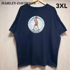 USA製』 Tシャツ ヴァンヘイレン 希少 ジャイアント フェード 【L 