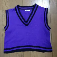 SPINNS スピンズパープル Vネック ニットベスト F