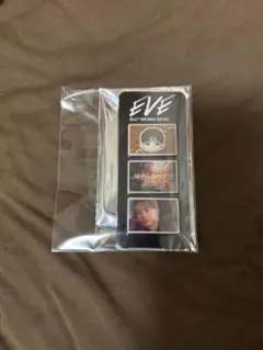 超特急 マサヒロ 12号車 EVE Photogray parts