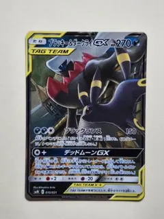 2026年最新】ブラッキー☆の人気アイテム - メルカリ