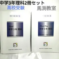 Item thumbnail for item b32bafdb-5bc3-4c8d-b607-7de3b0cc7b23