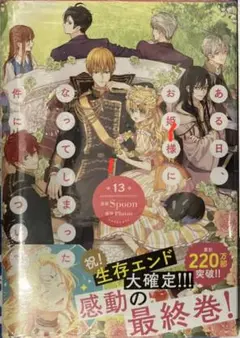 未読品 ある日、お姫様になってしまった件について 13巻