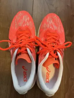 asics EvoRide SPEED 2 / 26.5㎝