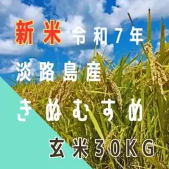 新米 令和7年産 きぬむすめ 玄米30キロ 淡路島産 精米小分け可　　30kg 玄米30キロ 令和7年産 きぬむすめ フォロワー様限定 - メルカリ