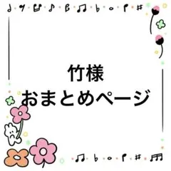 竹様 リクエスト 4点 まとめ商品