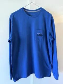 Patagonia 73 スカイラインポケットレスポンシビリティー　ロンT
