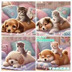 猫ふみマッサージ（A/B）のパネル生地
