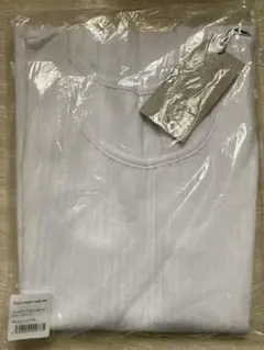 Item thumbnail for item 721f4f7a-4856-49fb-bd95-e05448484c21